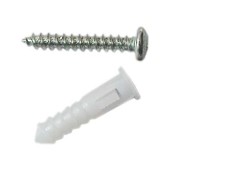 Screw and plastic anchor